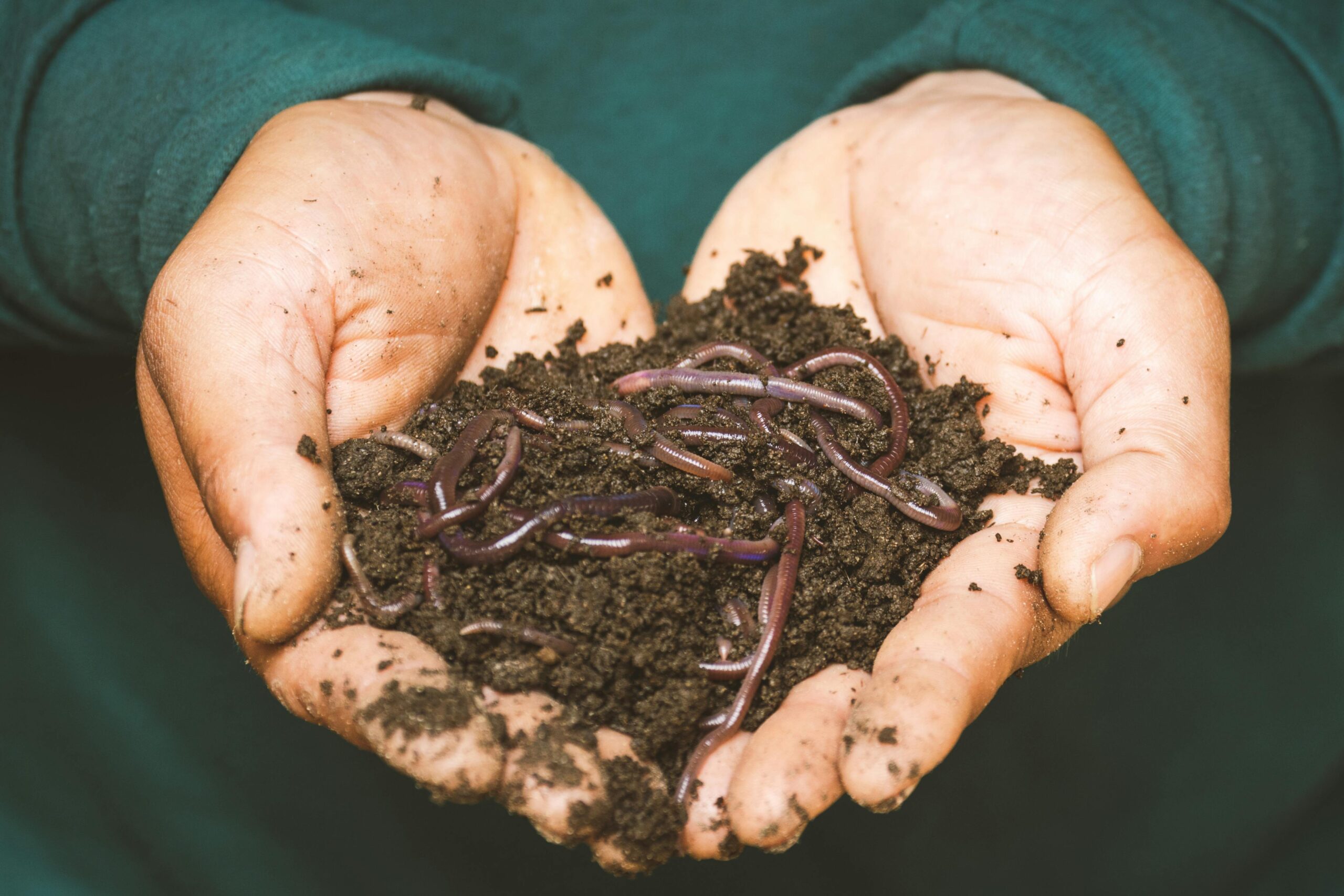 How to Improve Your Soil Naturally